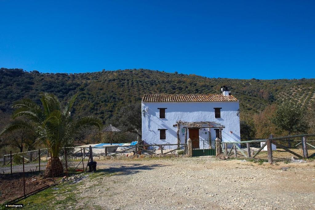 Hotel Enrique Calvillo El Bosque Camera foto