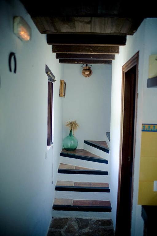 Hotel Enrique Calvillo El Bosque Esterno foto