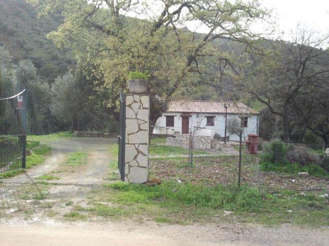 Hotel Enrique Calvillo El Bosque Camera foto